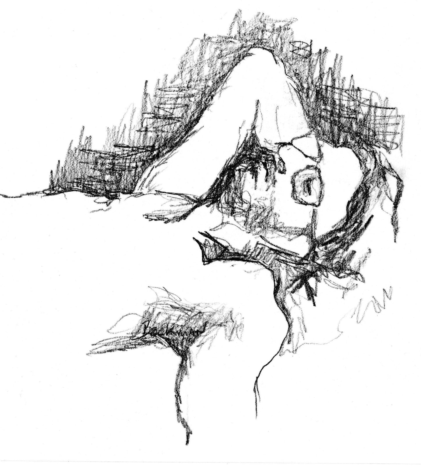 Figure #12